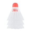 NLB6003-MAXI-02.jpg