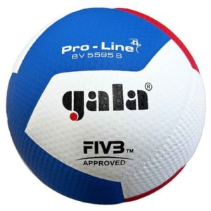 Piłka siatkowa GALA Pro-Line BV5595S - FIVB Approved