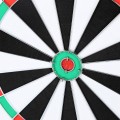 TDN05-DART-2-w-1-MAXI-05.jpg