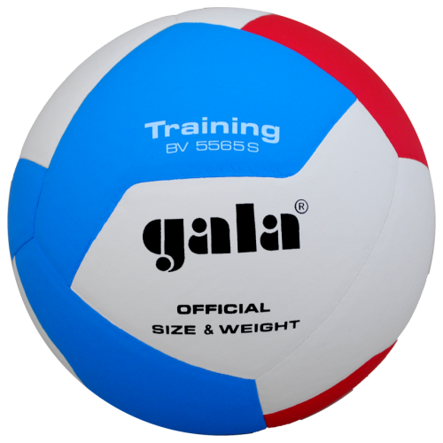 Piłka treningowa do siatkówki Gala 5565S Training