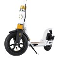 HM209T-WHITE-GOLD-MAXI-10.jpg