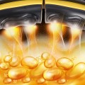 HHM21-BLACK-YELLOW-MAXI-04.jpg