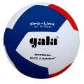 Piłka treningowa do siatkówki GALA Pro-Line BV5125S