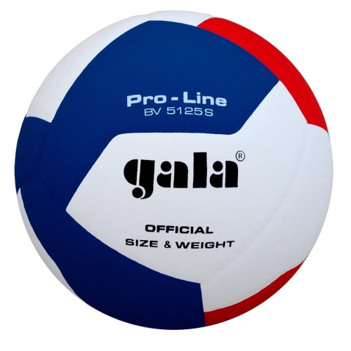 Piłka treningowa do siatkówki GALA Pro-Line BV5125S