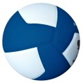 Piłka treningowa do siatkówki GALA Pro-Line BV5125S