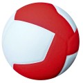 Piłka treningowa do siatkówki GALA Pro-Line BV5125S