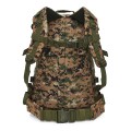 NC3904-MORO-MAXI-02.jpg