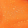NC1708-ORANGE-MAXI-13.jpg