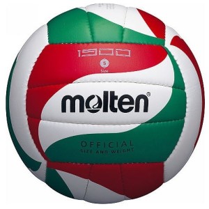 Volleyball MOLTEN V5M1900