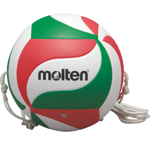 Volleyball MOLTEN V5M9000-T training