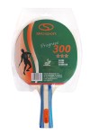 Rakietka do tenisa stołowego PROGRESS 300